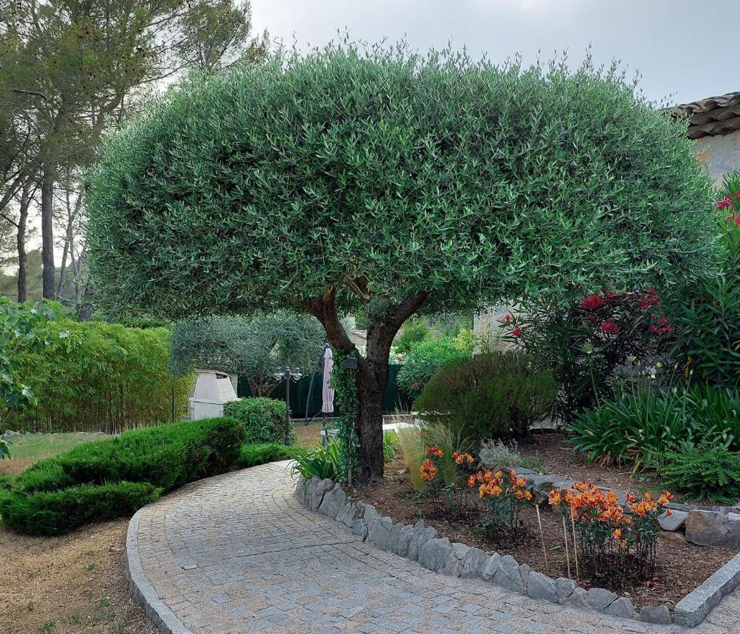 Les Pins Climatise Piscine Chauffee Jardin Holiday home *
