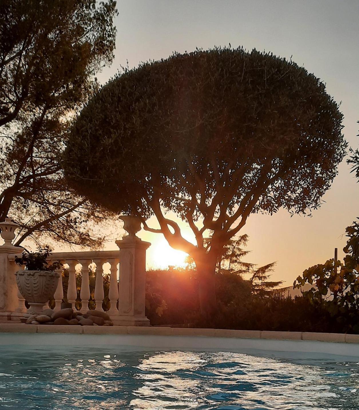 Les Pins Climatise Piscine Chauffee Jardin Holiday home *